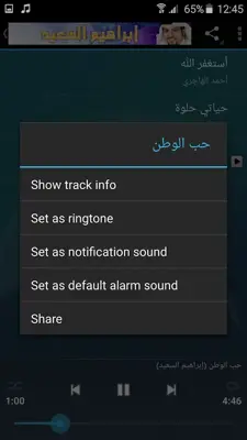 أناشيد إبراهيم السعيد android App screenshot 3